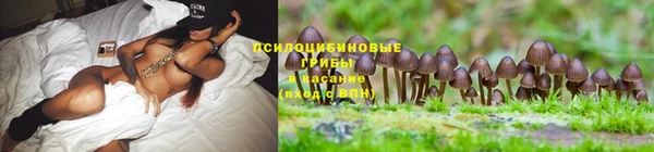 ешки Балахна